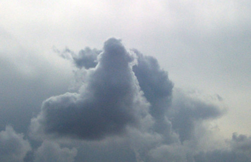 Облака, чем-то похожие на моржа